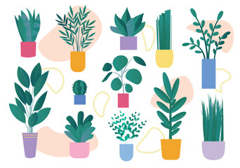 Fototapeta na wymiar House plants set in flat cartoon design. This vibrant and cozy colorful set feature an assortment of house plants that bring nature's charm right into living space. Vector illustration.