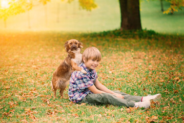 Fototapeta premium Boy hugging dog and plyaing with in the fall, city park