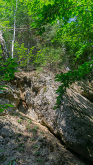 rock under sunlight in the forest