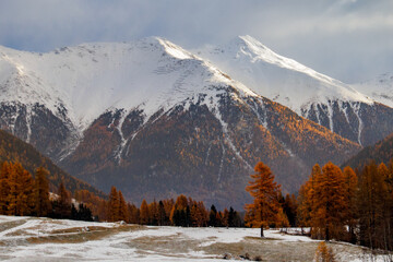 Übergang vom Herbst zum Winter in der Surselva, Graubünden, Schweiz - 682767446