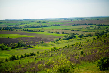 Green Valley, Field and Forest