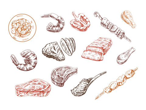 A set of hand-drawn sketches of different types of meat, steaks, shrimp, chicken, grilled vegetables, barbecue. Doodle vintage illustration. Engraved image.