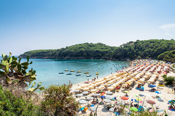 Fetovaia beach in Elba island