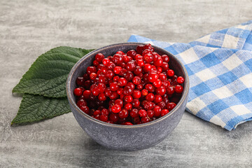 Ripe sweet wild organic cowberry