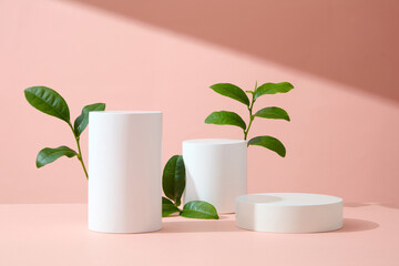 Minimalist scene for advertising cosmetic product of green tea extract on pink background. White cylinder podiums with green tea leaves decorated. Space to place your product