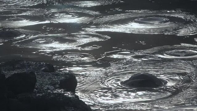 Bubbling gray mud. Close up of geothermal area. Boiling hot geothermal volcanic mud pool, closeup shot steamy lake bubbling mud and steam