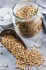 Uncooked lentil legumes in scoop on kitchen table.