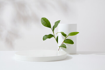 On a white background with leaves shadow, white podiums decorated with green tea leaves. Empty...