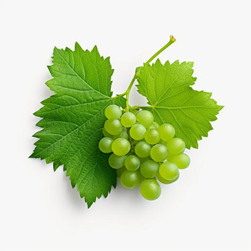 Grapes with leaves isolated on white background