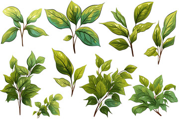 Dark green leaves painted in watercolor. Watercolor clip art. isolated on a Transparent background. Generative AI