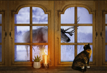 old wooden window, domestic cat looking at reindeer, candle burns on windowsill, houseplant...