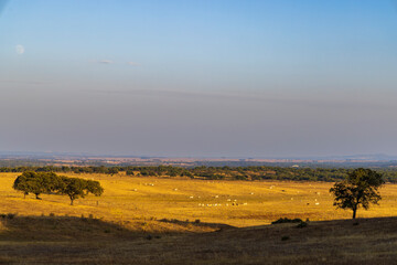 Landscape near Sao Brissos, Santiago do Escoural near Evora, Alentejo, Portugal