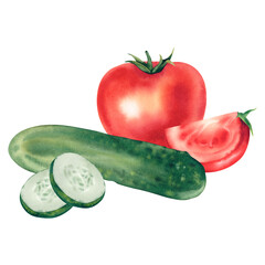 Tomato and cucumber. Watercolor illustration. Healthy vegetables for salad. Harvesting. Baby food. Menu. Clipart.