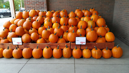 Pile of pumpkins in a grocery store-market