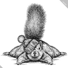 Vintage engraving isolated squirrel set illustration ink gnawer sketch. Forest background rodent animal silhouette art. Hand drawn vector image © Turaev