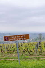 Wine road near Saint-Veran and Macon, Burgundy, France