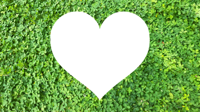 love symbol, made from isolated green grass