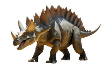 a high quality stock photograph of a single Stegosaurus full body isolated on a white background