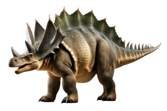 a high quality stock photograph of a single Stegosaurus full body isolated on a white background