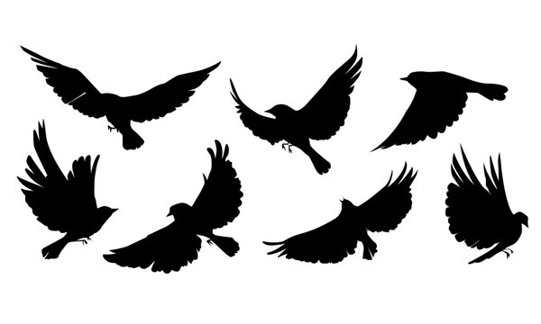 flying bird silhouettes set vector illustration (black And white)