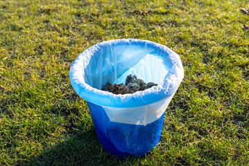 Frozen dog droppings lying collected in a bucket on frost covered grass.