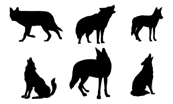 coyote silhouettes set vector illustration (black And white)