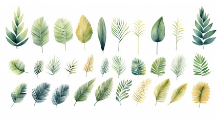 set of watercolor palm leaves isolated on white background - obrazy, fototapety, plakaty