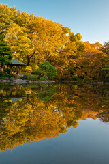 Kumogata pond in Hibiya Park Tokyo during autmn