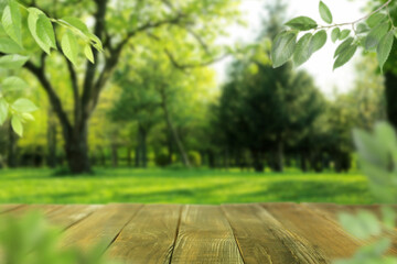 Empty wooden table in park on sunny day. Space for design