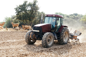 Young female farmer driving tractor in countryside on sunny day