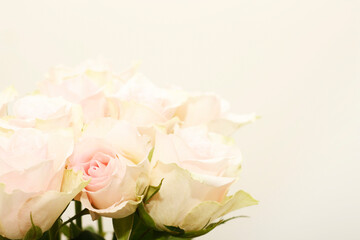 Pink roses in soft color, made with blur style for background. Greeting card. Copy space for text, top view