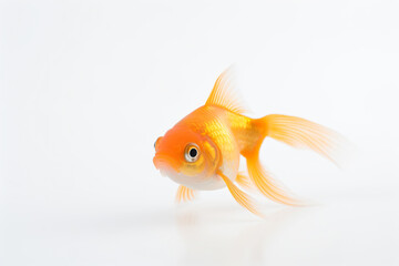 a goldfish with a big smile on its face