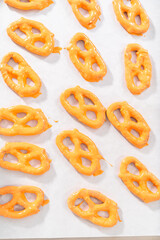 Gourmet Chocolate Covered Pretzel Twist