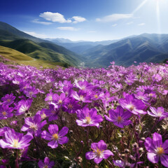 a beautiful spring field of with blooming flowers of purple
