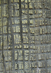 old stone texture with natural patterns.