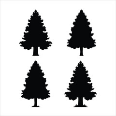 Fototapeta premium Vector Pine Tree Silhouette Set Inspires Creative Landscapes and Designs