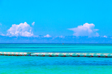 Fototapeta na wymiar Seaweed Sargazo net caribbean beach water Playa del Carmen Mexico.