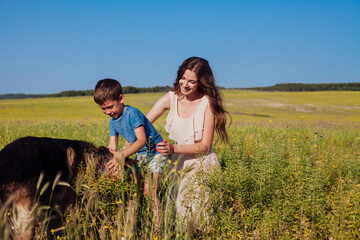 mother and son family and dog on a walk in the field travel walk