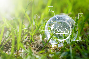 Glass globe in green forest with the icon environment of ESG, co2,  and net zero.Technology...