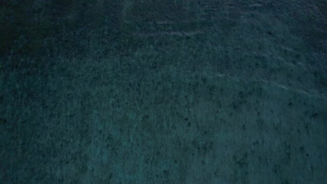 Top down aerial view of crashing ocean waves, drone is flying towards deep water. Gili Trawangan Island, Lombok. High quality 4k footage