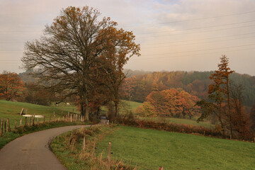 Spätherbst im Bergischen Land; Panorama-Radweg Balkantrasse bei Lüttringhausen