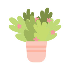 Home flower of flat cartoon set. A lovely home flower graces the scene, infusing it with natural beauty and a sense of calm. Vector illustration.