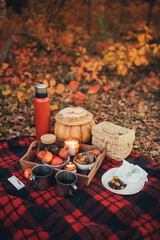 Cozy autumn picnic in a forest: tea, pie and fresh fruits on the red plaid.