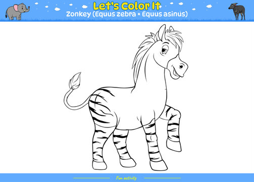 Lets color it Zonkey