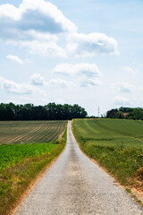 Fototapeta na wymiar The image presents a country road stretching forward between fields under a wide, cloud-studded sky. The road serves as a leading line, drawing the viewer's eye towards the horizon. On either side