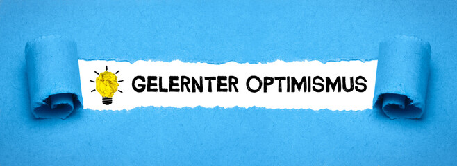 gelernter Optimismus	