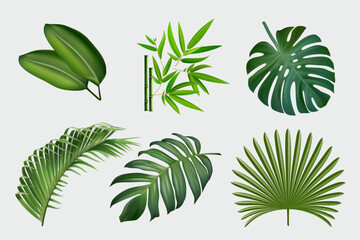 Vector realistic illustration set of tropical leaves and flowers isolated on white background. Colorful collection of plants. Botanical elements for cosmetics, spa, cosmetics - obrazy, fototapety, plakaty
