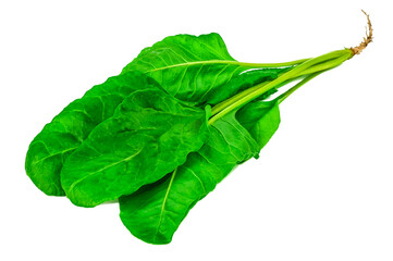Green organic spinach leaves on white background