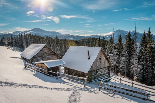 Wooden log huts cabins under sunlight in winter Carpathian mountains