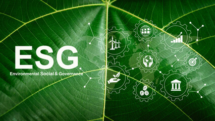 The word ESG and icons on leaves The concept of sustainable development and green business with...